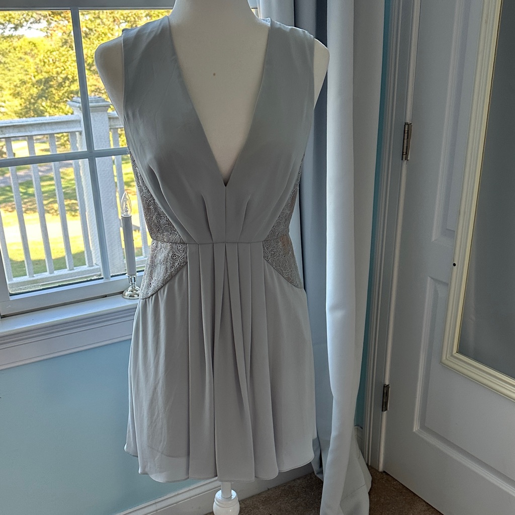 Bcbgmaxazria Light Gray Backless Dress
